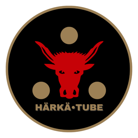 Haetaan nuoria yrittäjiä mediaprojektiin!