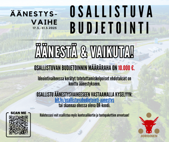 Osallistuva budjetointi, ÄÄNESTYS