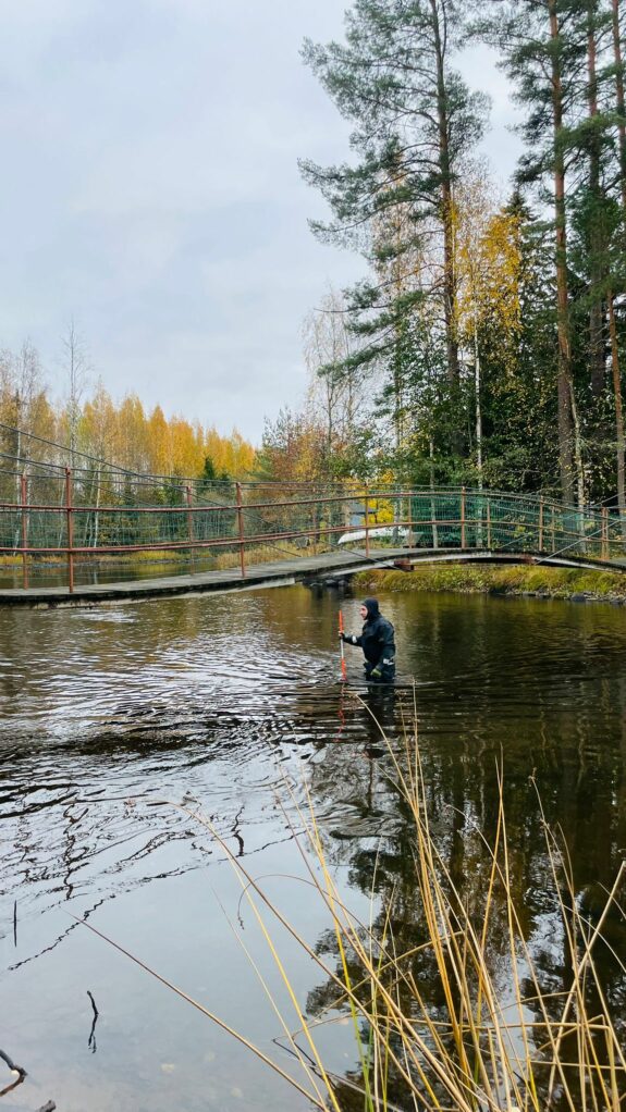 Sukellusasuinen arkeologi tutkii Huutokoskea vedessä, taustalla näkyy notkolla oleva riippusilta ja syksyinen rantametsä. Kuva: Vili-Emil Kokko