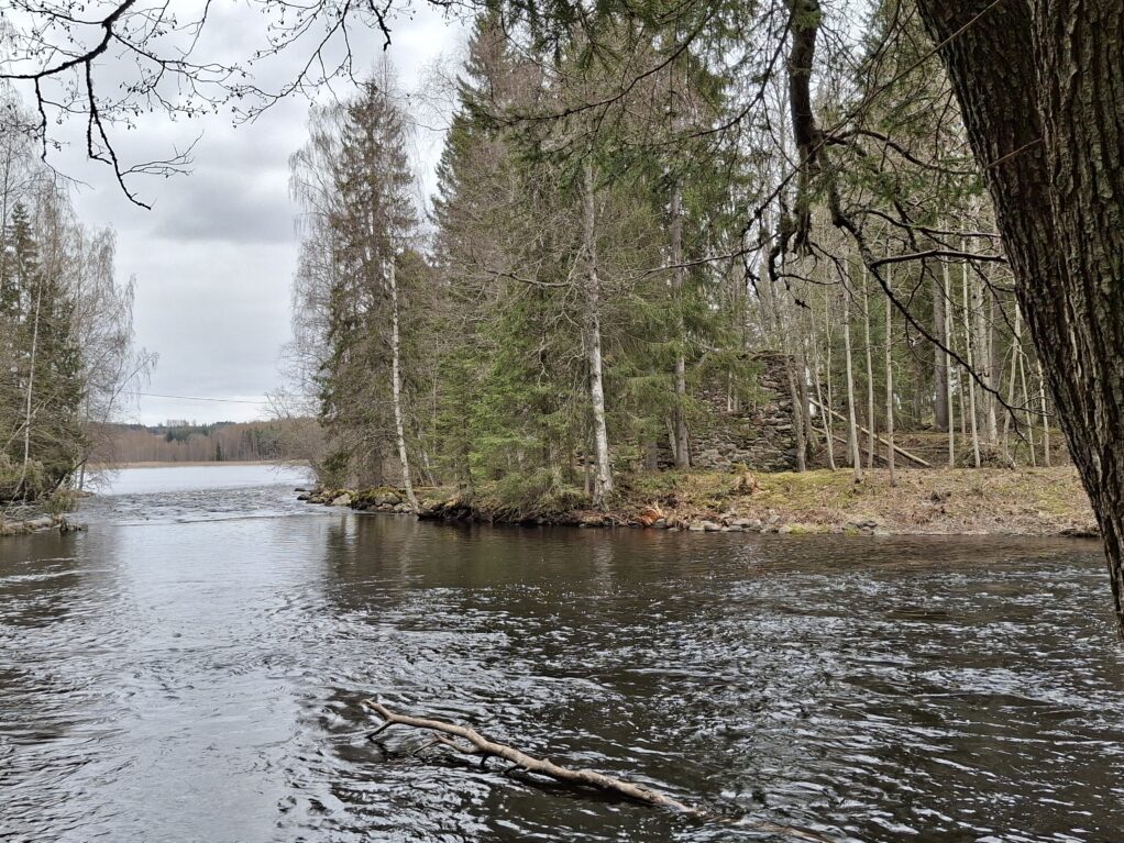 Huutokosken ruukin tuotantolaitoksen korkeat rauniot näkyvät Huutokosken vastarannalla puuston lomassa. Keväinen, puolipilvinen päivä.